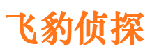 海宁市调查公司